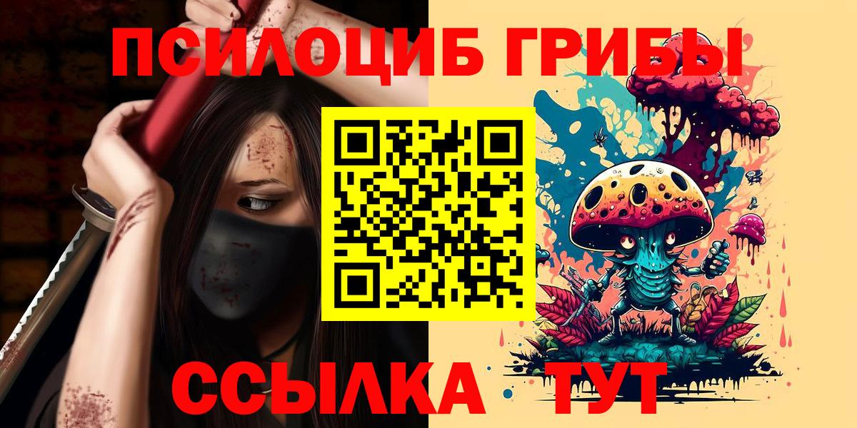 Галлюциногенные грибы Cubensis Бийск