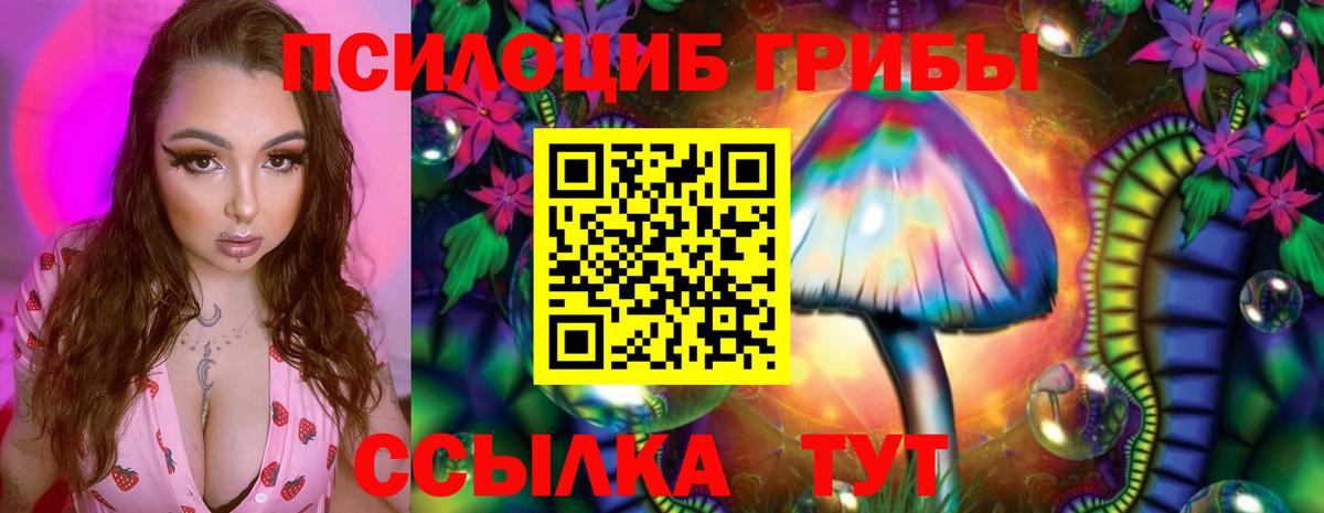 Бийск  Галлюциногенные грибы ЛСД  Вход с VPN 