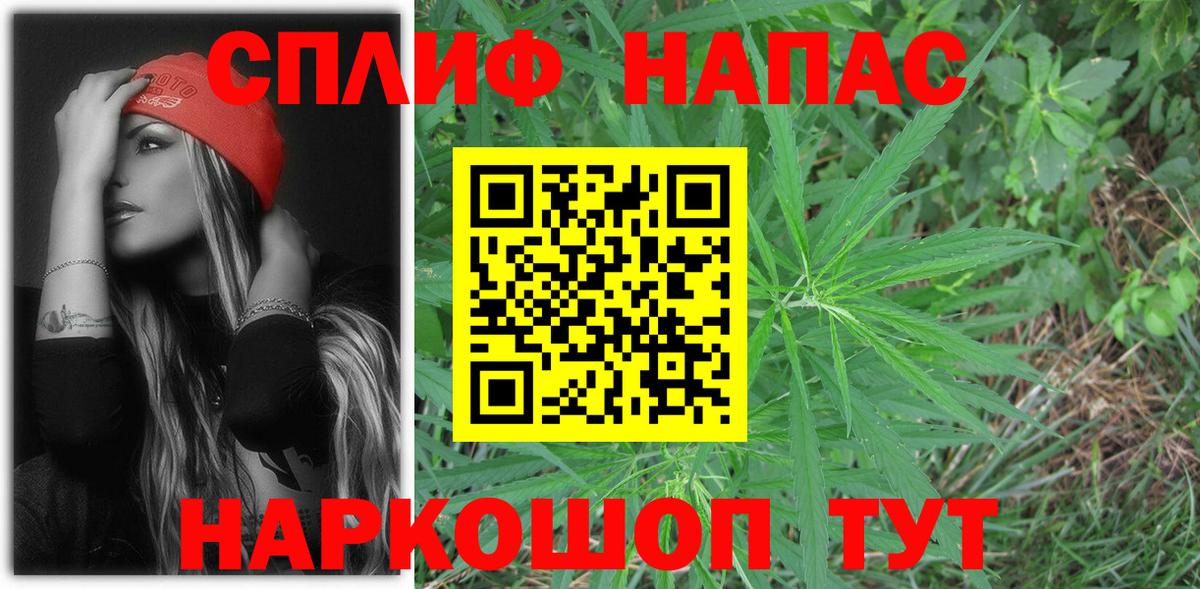 Конопля конопля Бийск